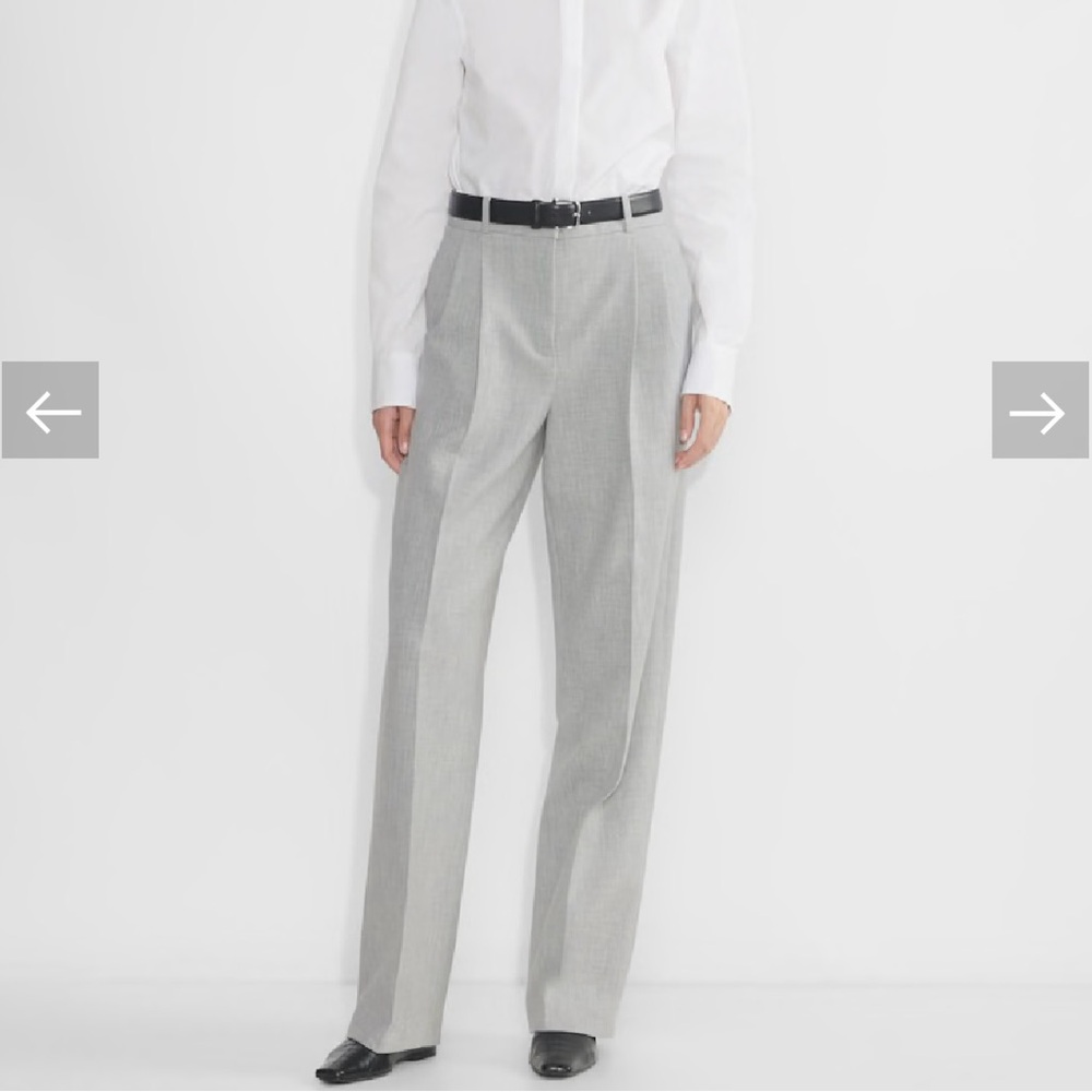 Aritzia Babaton Light Gray Pleated Pants